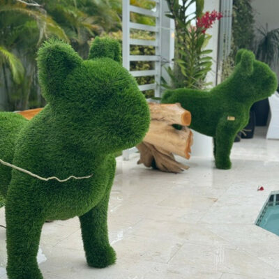 French Bulldog Topiary – The Ever Botanic