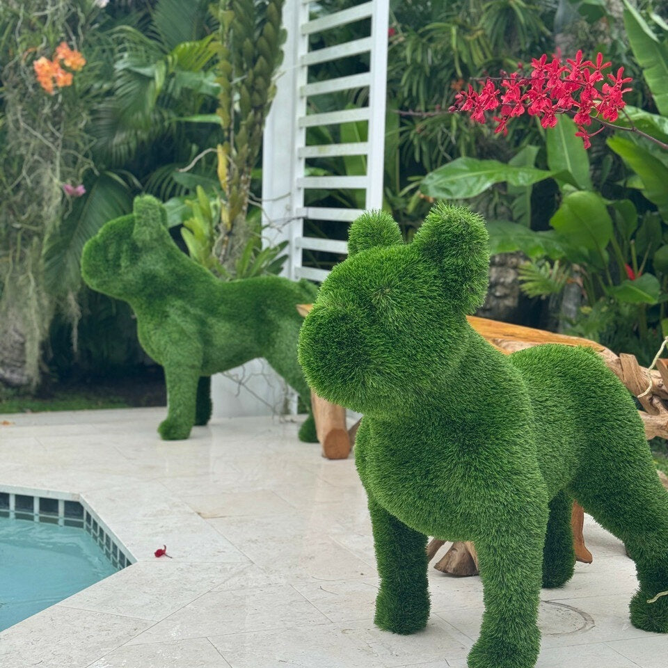French Bulldog – Animal Shape Topiary – The Ever Botanic