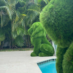 Sitting Lion Topiary – The Ever Botanic