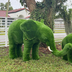 Medium Elephant Topiary – The Ever Botanic