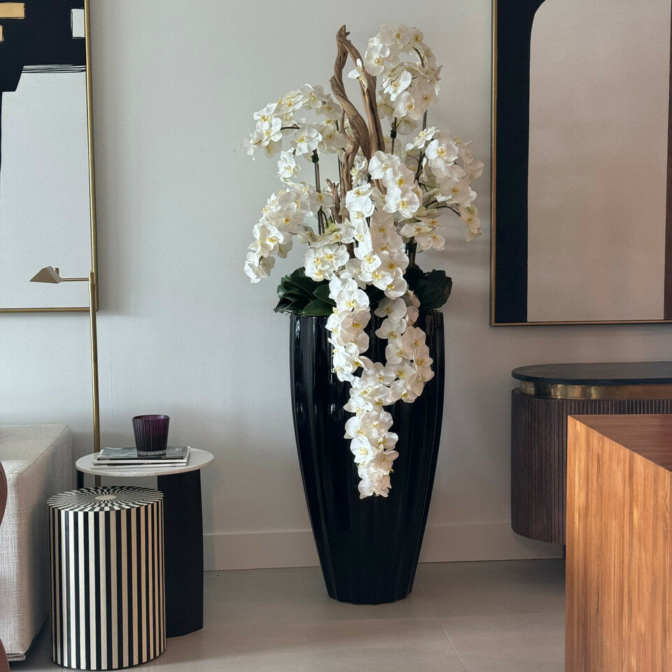 Glossy Black San Jose Vase with Cascading White Orchids – The Ever Botanic