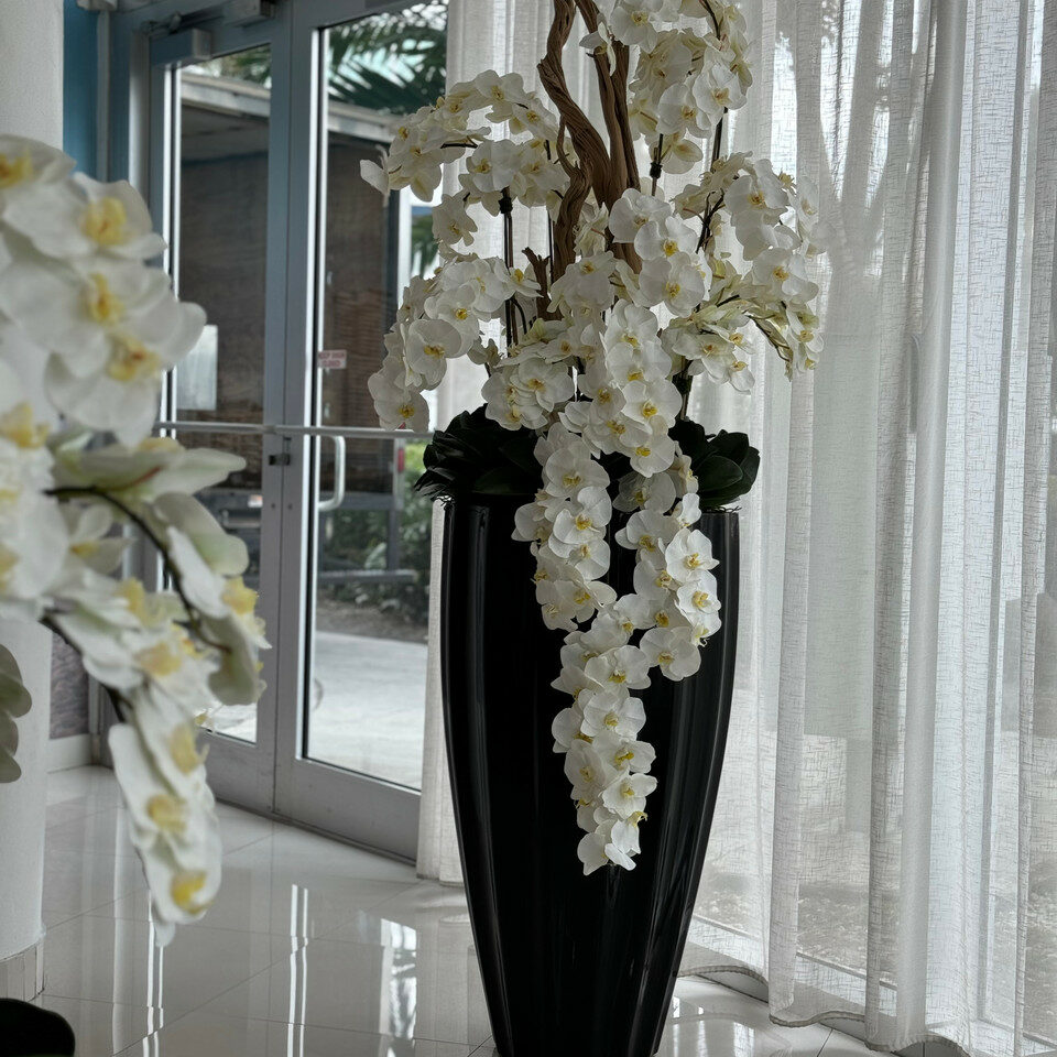 San Jose Vase in glossy black with hanging yellow orchids – The Ever Botanic