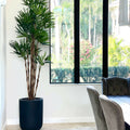 Palm tree in XL black pot – The Ever Botanic