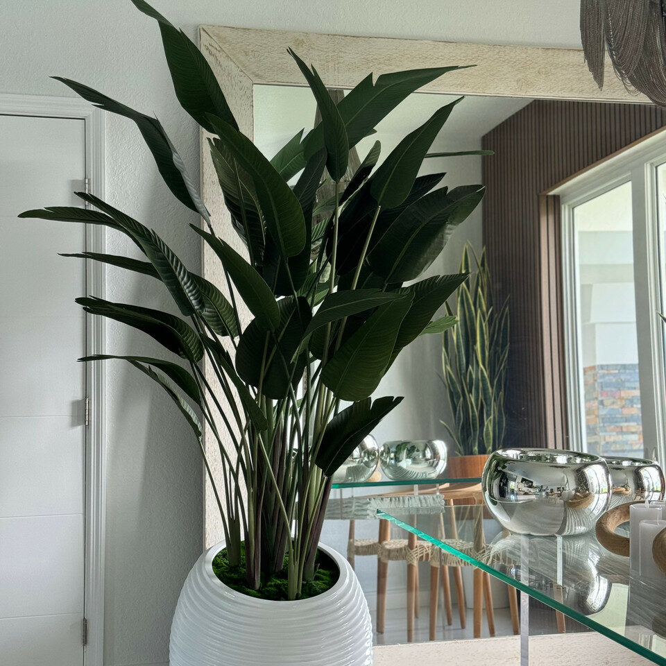Bird of Paradise Plant in White Spiral Vase – The Ever Botanic