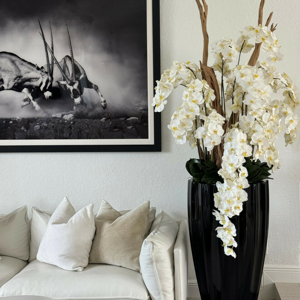 Glossy Black San Jose Vase with Cascading White Orchids – The Ever Botanic