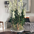 Avenue Planter with Dendrobium Orchids – The Ever Botanic