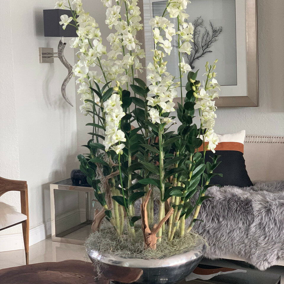 Avenue Planter with Dendrobium Orchids – The Ever Botanic