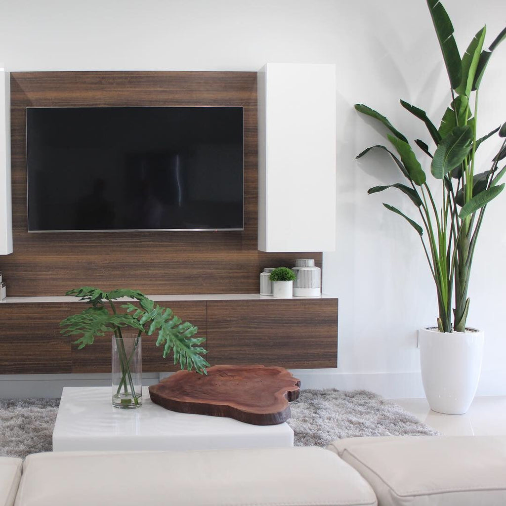 2.7 m Bird of Paradise Plant with Ben Planter in Glossy White – The Ever Botanic