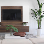 2.7 m Bird of Paradise Plant with Ben Planter in Glossy White – The Ever Botanic