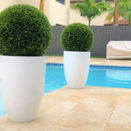 Ben L Fiberglass with 20" Topiary – The Ever Botanic
