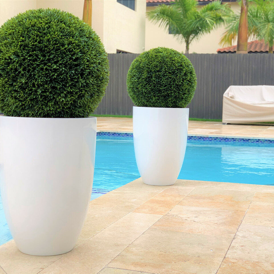 Ben L Fiberglass with 20" Topiary – The Ever Botanic