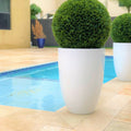Ben L Fiberglass with 20" Topiary – The Ever Botanic