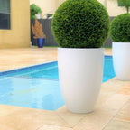 Ben L Fiberglass with 20" Topiary – The Ever Botanic