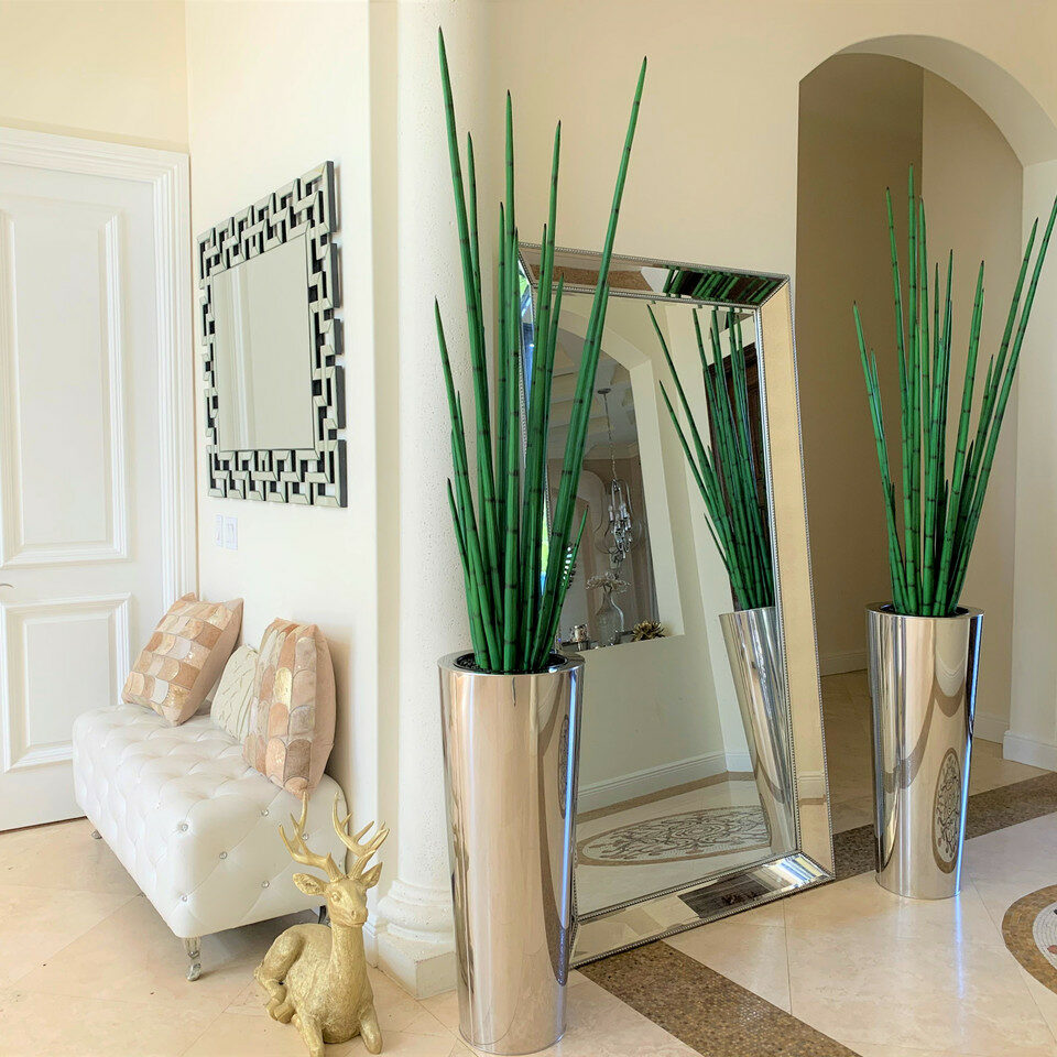Large, Polished Stainless Steel Pot with Large Snake Grass Plant – The Ever Botanic