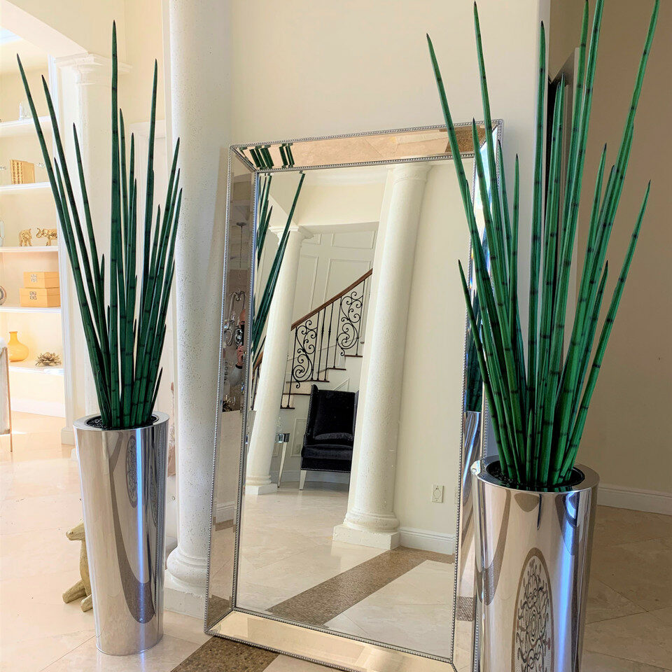 Large, Polished Stainless Steel Pot with Large Snake Grass Plant – The Ever Botanic