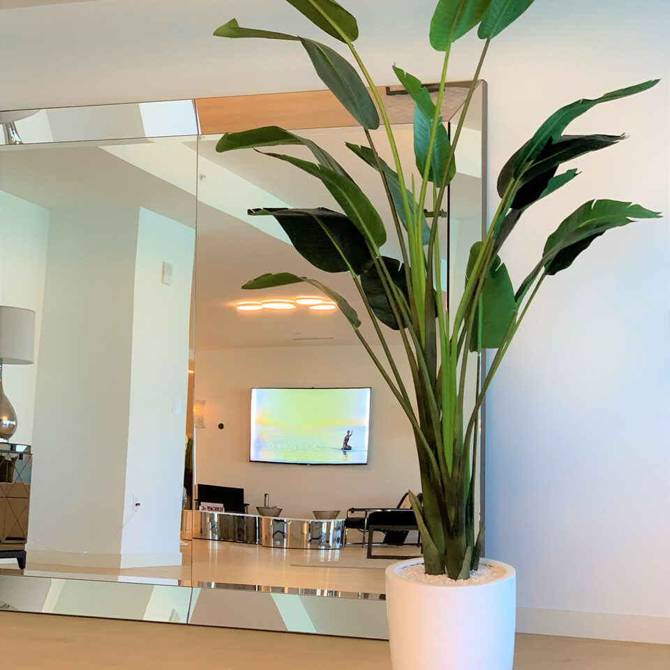 2.74 m Bird of Paradise with Ben Pot in Glossy White – The Ever Botanic