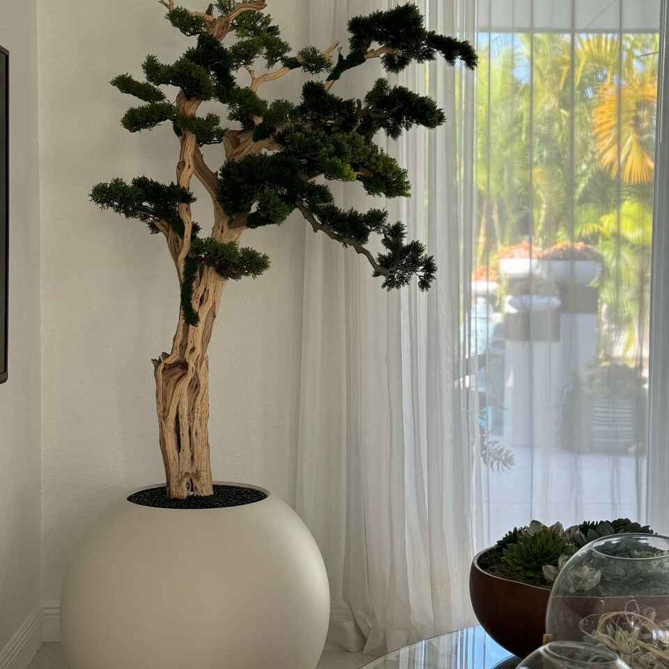 Bonsai Tree in Globe-Shaped Planter – 180 cm, Satin Beige – The Ever Botanic