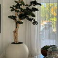 Bonsai Trail in Satin Beige Globe 30" – The Ever Botanic