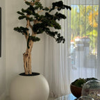Bonsai Trail in Satin Beige Globe 30" – The Ever Botanic