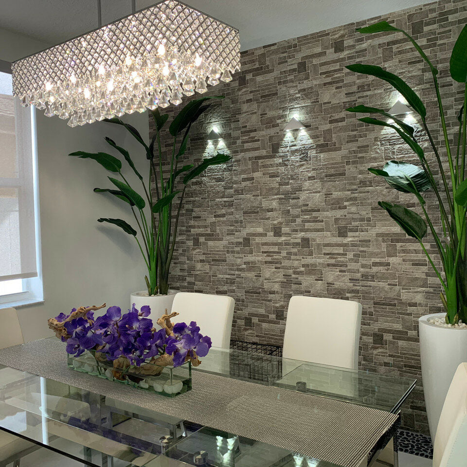 2.1 m Bird of Paradise Plant with Dax L Pot – The Ever Botanic