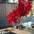 Red Cymbidium Orchids in Moon Planter – The Ever Botanic
