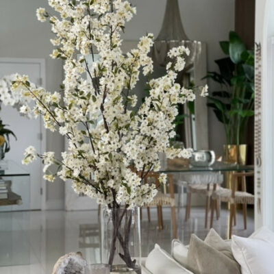 Cherry Blossom in 16" Glass Cylinder – The Ever Botanic