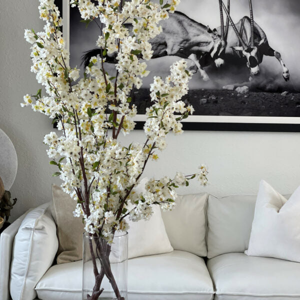 Cherry Blossoms in 40 cm Glass Cylinder – The Ever Botanic