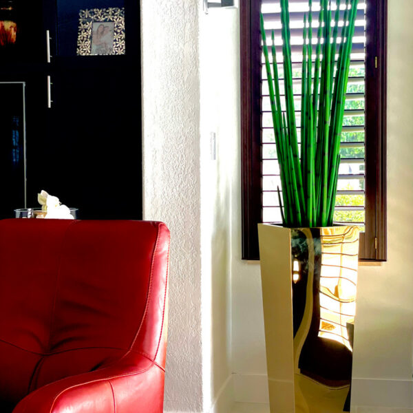 Golden Cube Planter with Snake Grass – The Ever Botanic