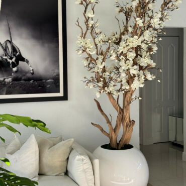 White Magnolia Tree in Glossy White Globe Pot, 76 cm – The Ever Botanic