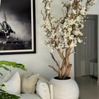 White Magnolia Tree in 126 cm Shiny White Globe Pot – The Ever Botanic