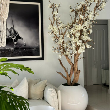 White Magnolia Tree in Glossy White Globe Pot, 76 cm – The Ever Botanic