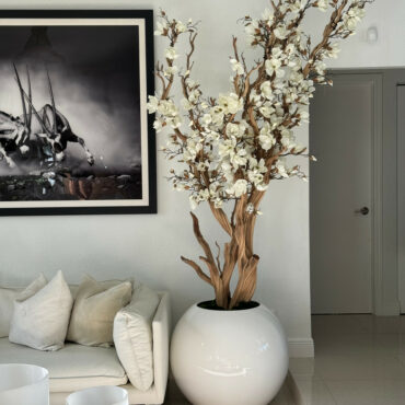 White magnolia tree in shiny white globe pot 30" – The Ever Botanic