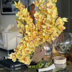 Yellow Cymbidium Orchids in Moon Vase – The Ever Botanic