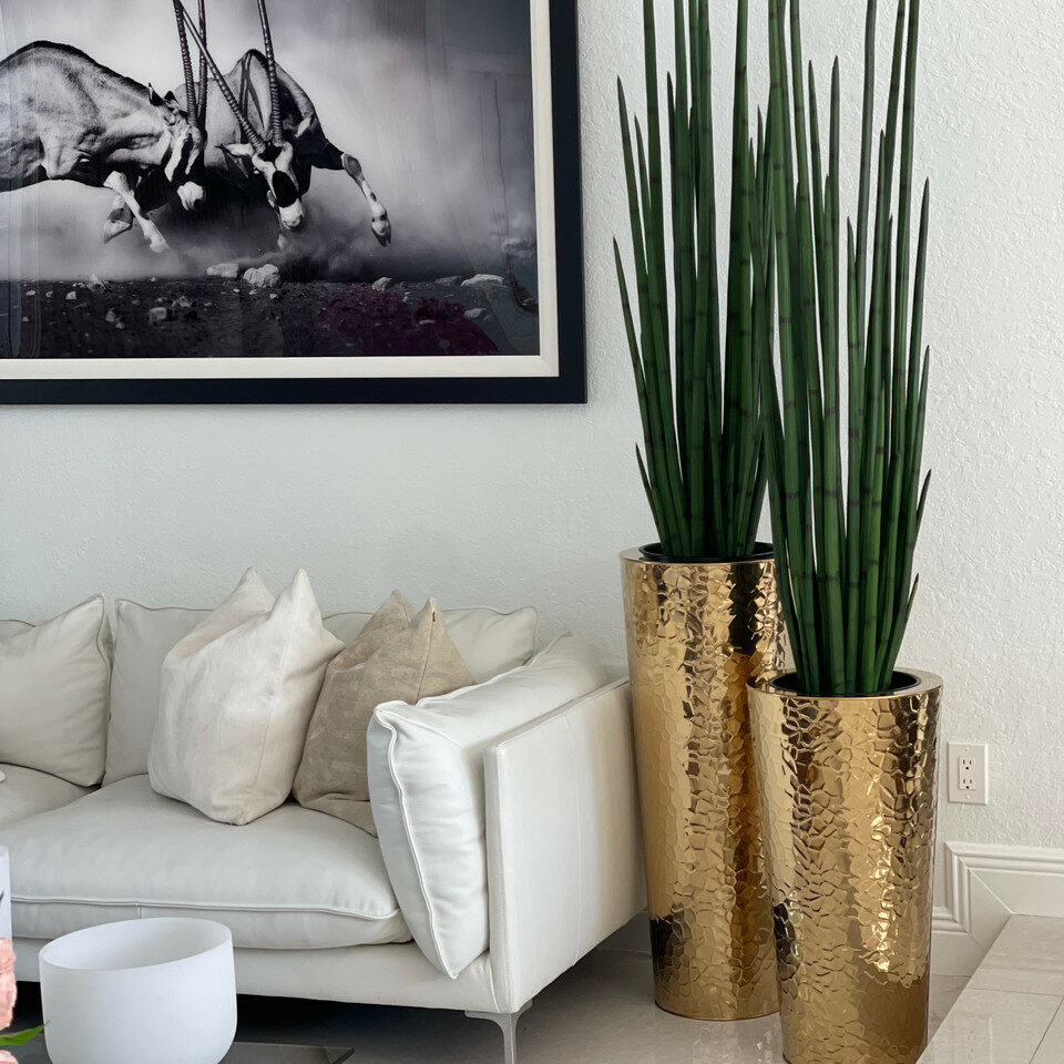 Conical Vase made of Gold-Colored Stainless Steel with Large Snake Grass – The Ever Botanic