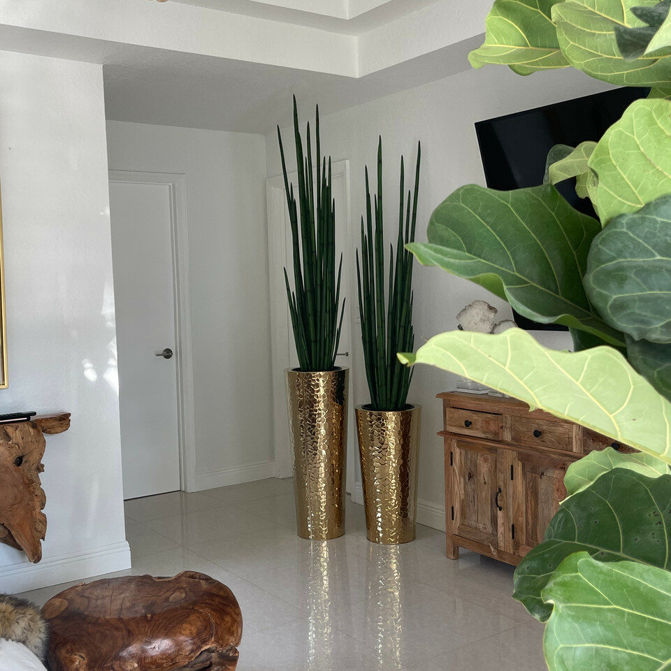 Conical Vase made of Gold-Colored Stainless Steel with Large Snake Grass – The Ever Botanic