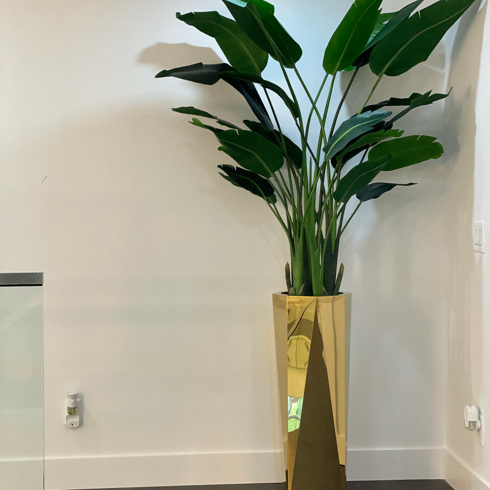 Golden Prism Planter with Bird of Paradise Plant (2.1 m) – The Ever Botanic