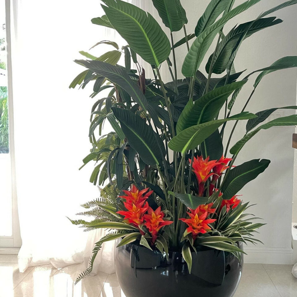 Black Terragona Tropical Plant Mix – The Ever Botanic