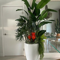Tropical Arrangements