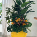 Mix of Tropical Plants in a Yellow Globe Planter – The Ever Botanic