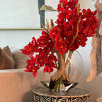 Red Cymbidium Orchids in Moon Planter – The Ever Botanic