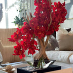 Red Cymbidium Orchids in Moon Planter – The Ever Botanic