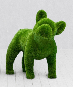 French Bulldog Topiary – The Ever Botanic
