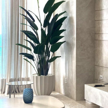 Santa Bárbara Beige Matte Planter with Bird of Paradise – The Ever Botanic