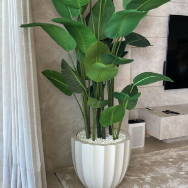 Santa Bárbara Beige Matte Planter with Bird of Paradise – The Ever Botanic