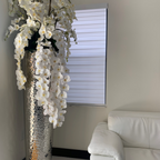 Phalaenopsis Orchids in Extra Tall Hammered Pot – The Ever Botanic