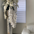 Phalaenopsis Orchids in Extra Tall Hammered Pot – The Ever Botanic
